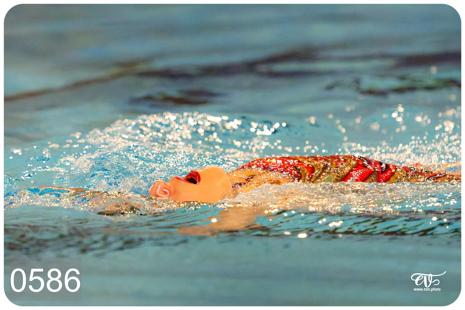 CHAMPIONNAT DE FRANCE DE NATATiON ARTISTIQUE N1 & ELITE 2026